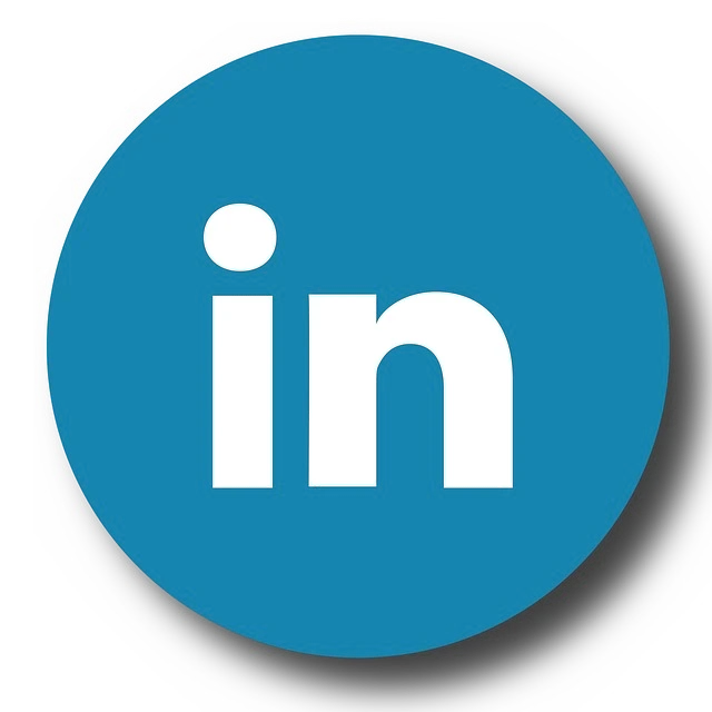 LinkedIn Logo