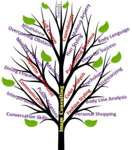 Image Consulting Tree Branches of Options